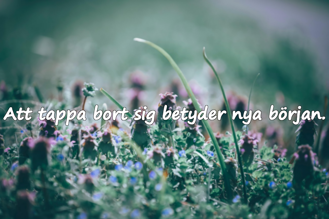 Citat om att gå vilse