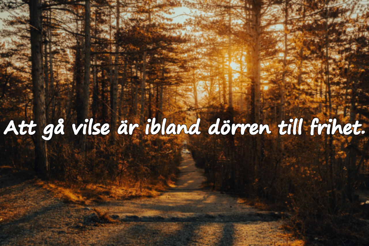 Citat om att gå vilse