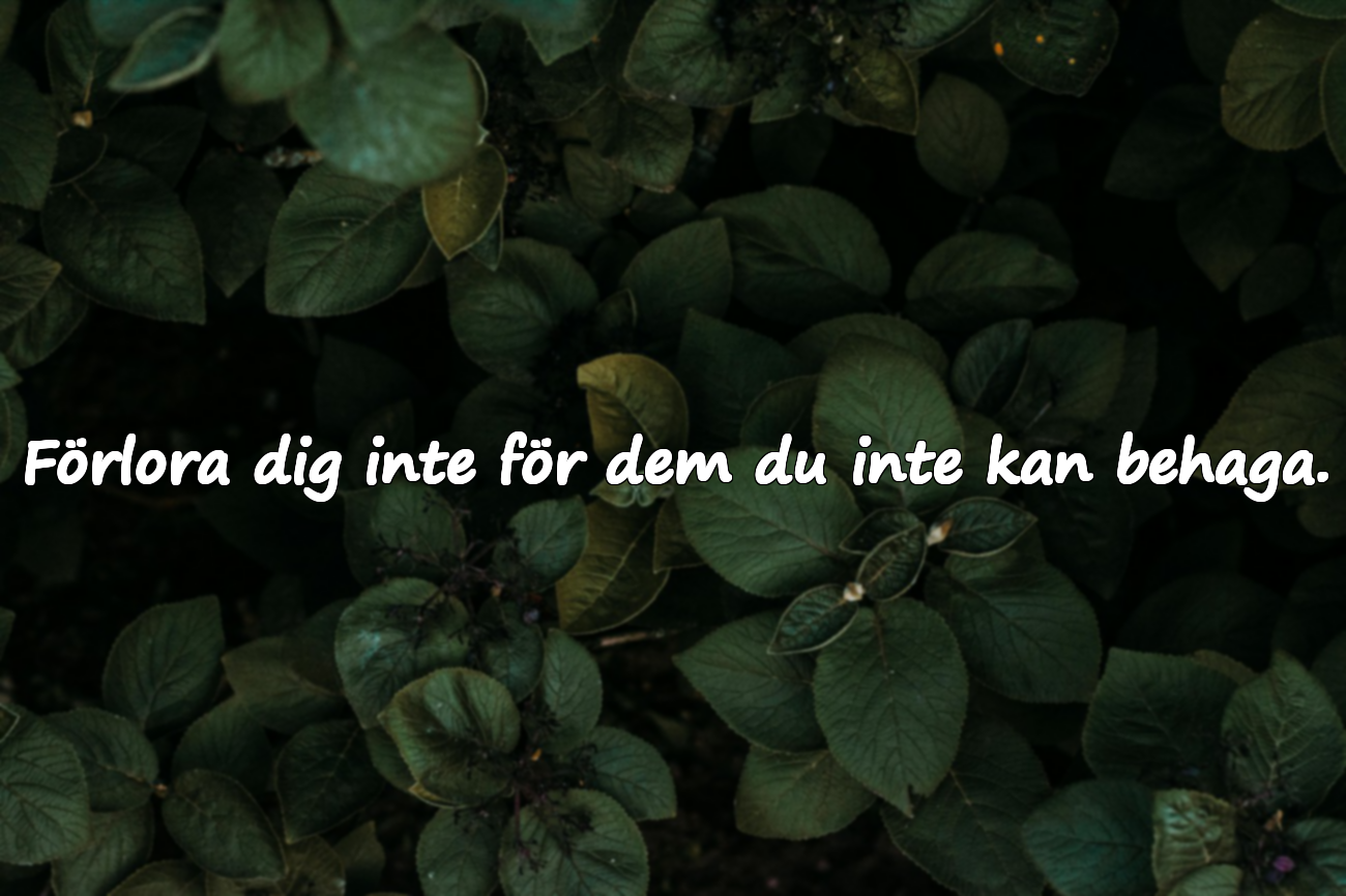 Citat om att inte kunna behaga