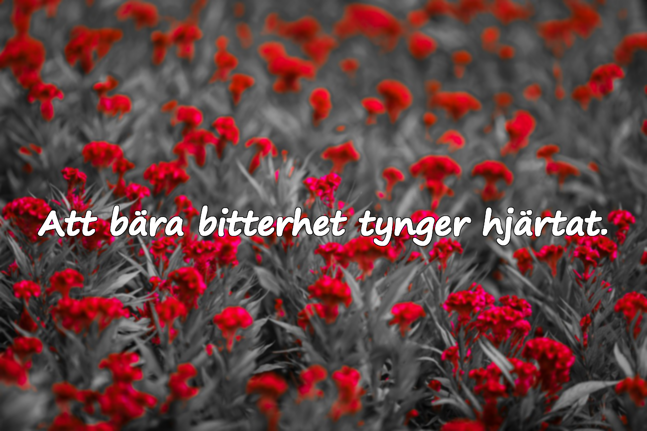 Att bära bitterhet tynger hjärtat.
