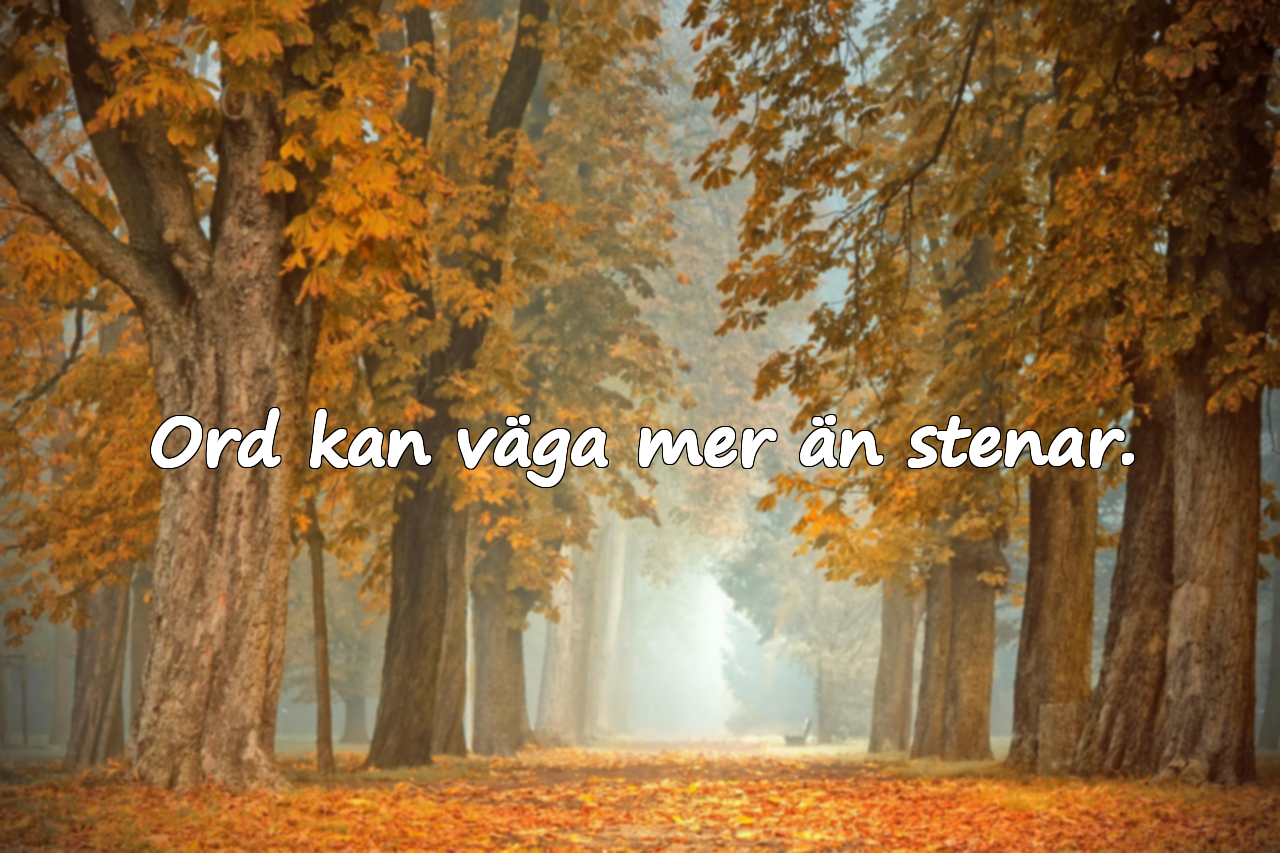 Ord kan väga mer än stenar.