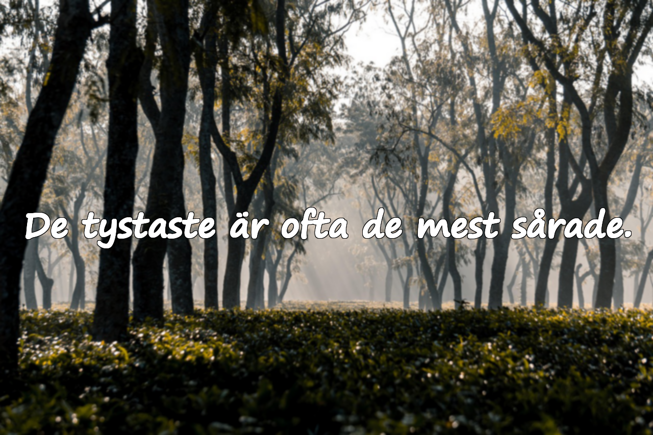 De tystaste är ofta de mest sårade.