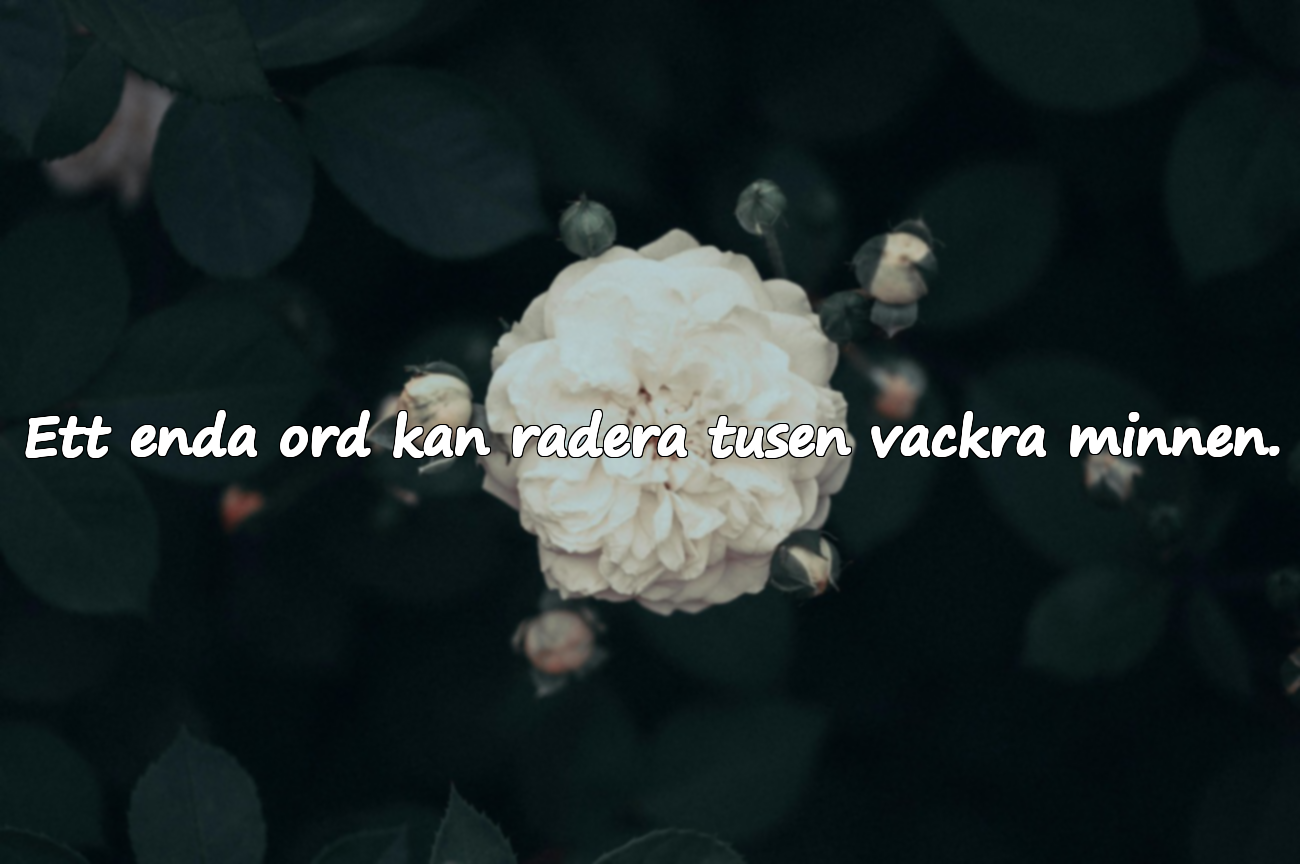 Ett enda ord kan radera tusen vackra minnen.