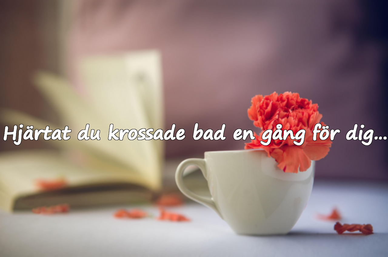 Hjärtat du krossade bad en gång för dig…