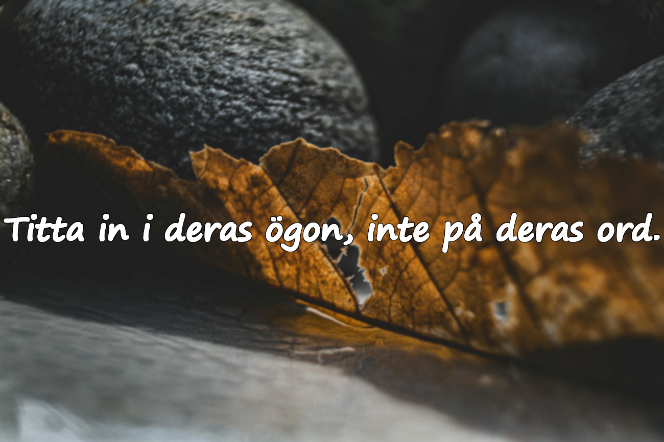 Citat om falska människor