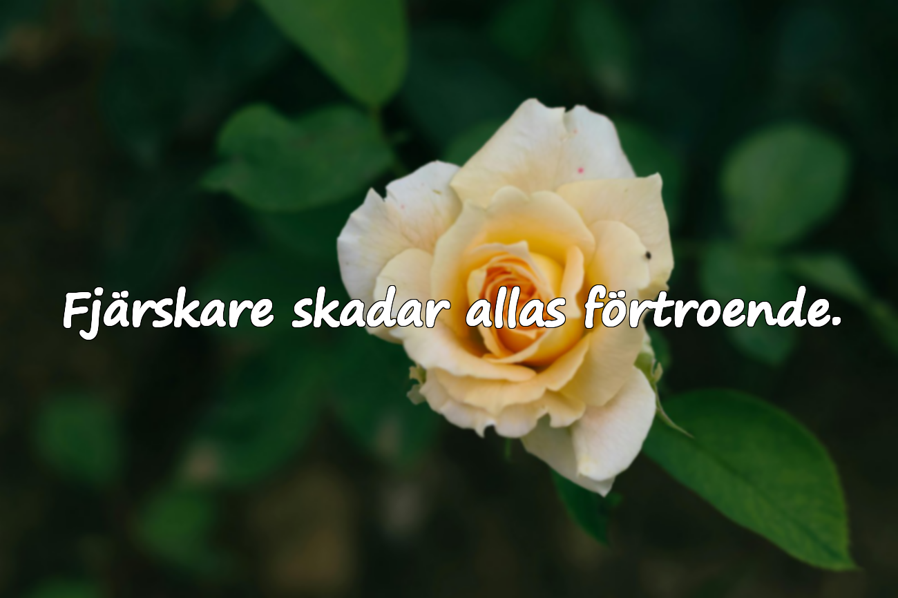 Citat om fjäskare