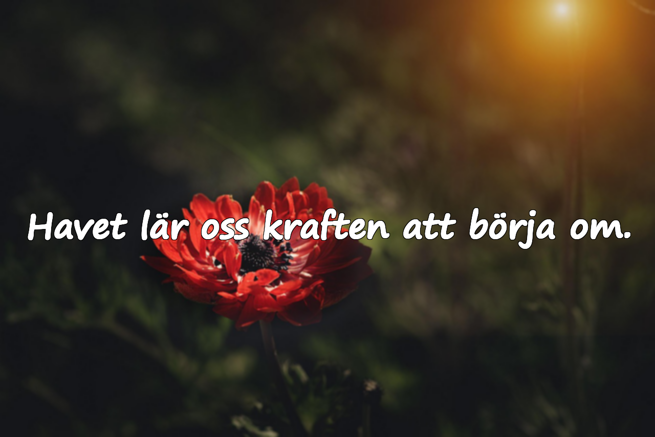 Citat om havet