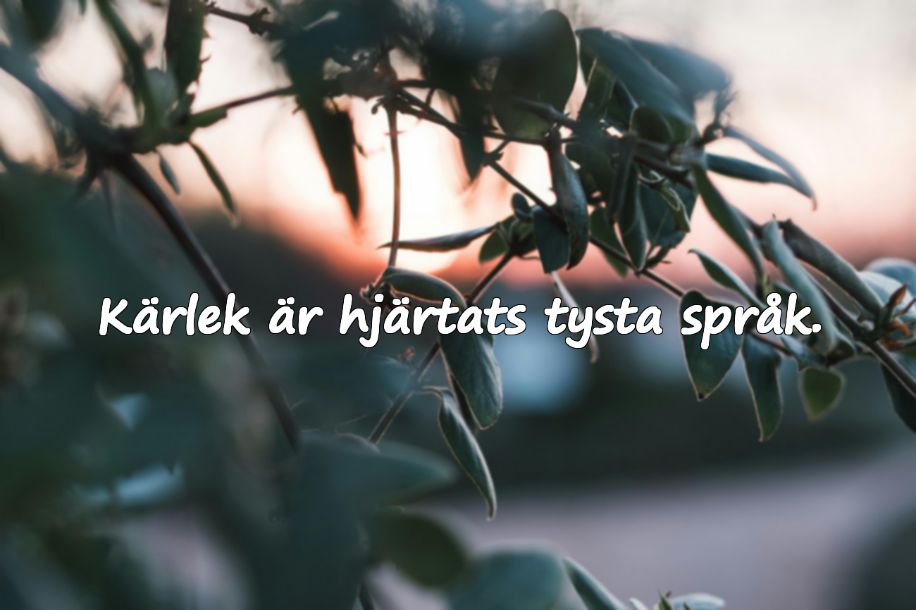Citat om hjärtat