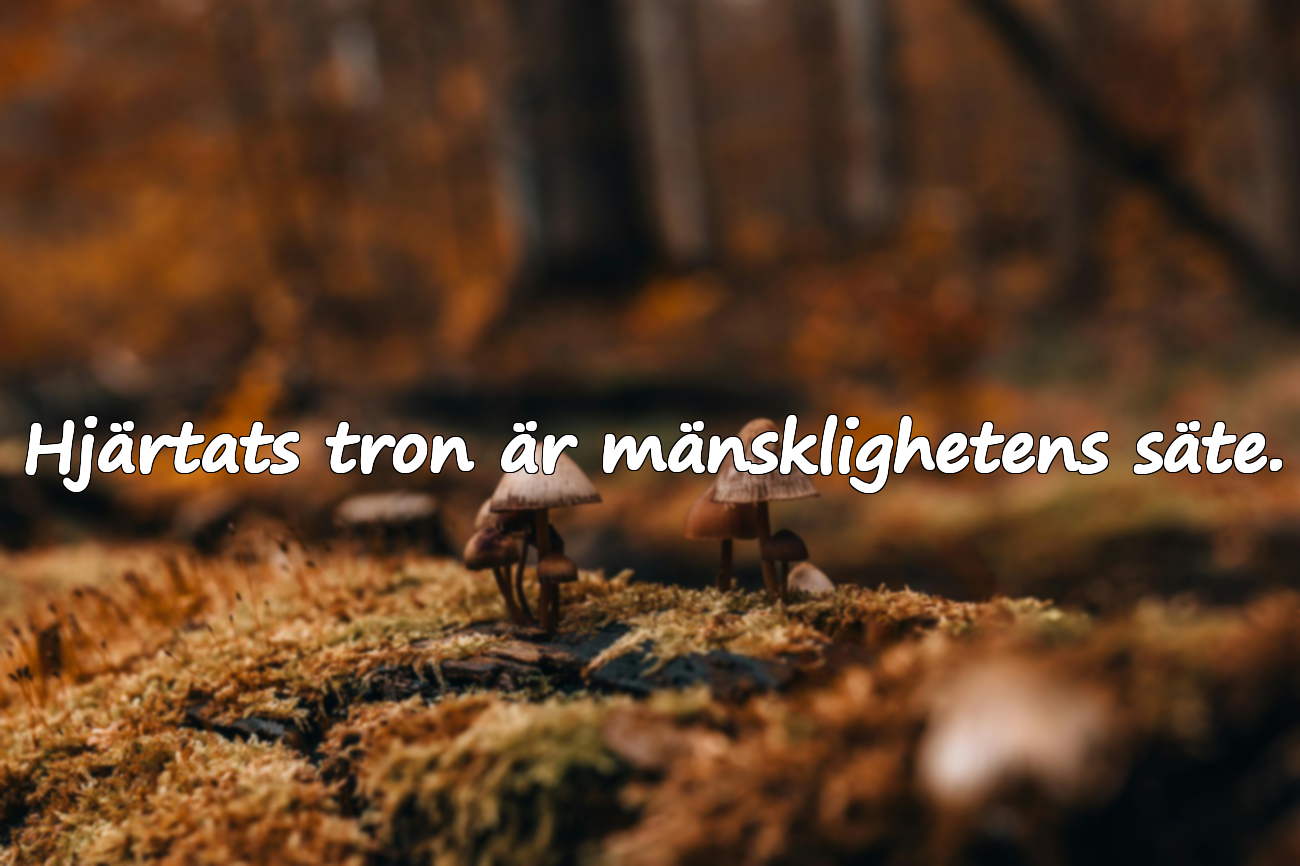 Citat om hjärtat (själ/ande)