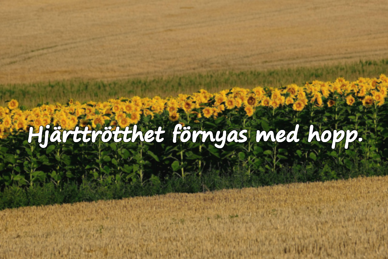 Citat om hjärttrötthet