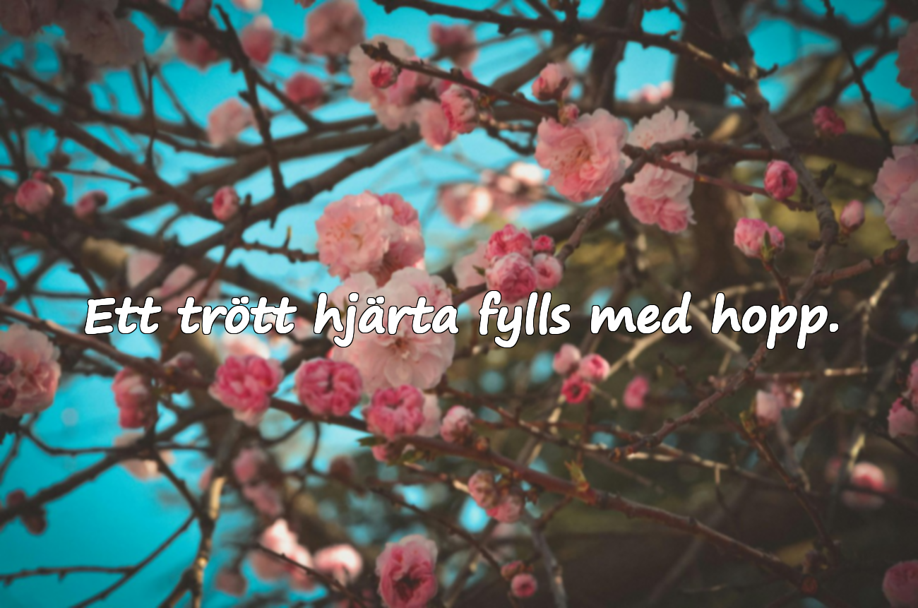 Citat om hjärttrötthet