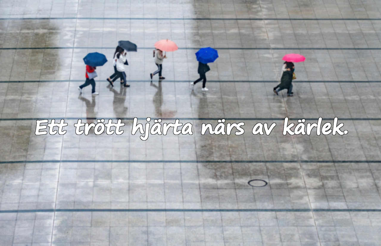 Citat om hjärttrötthet