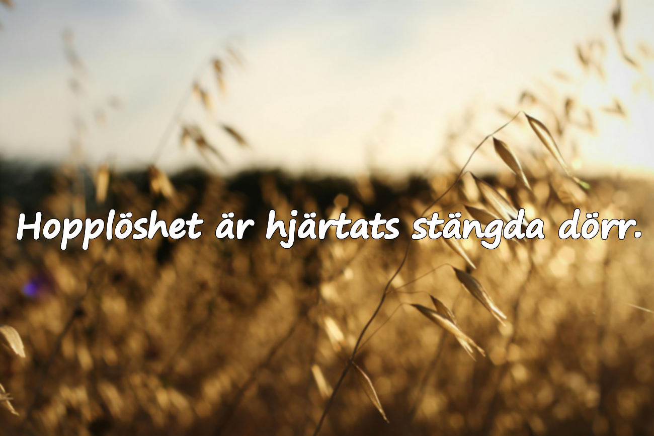 Citat om hopplöshet