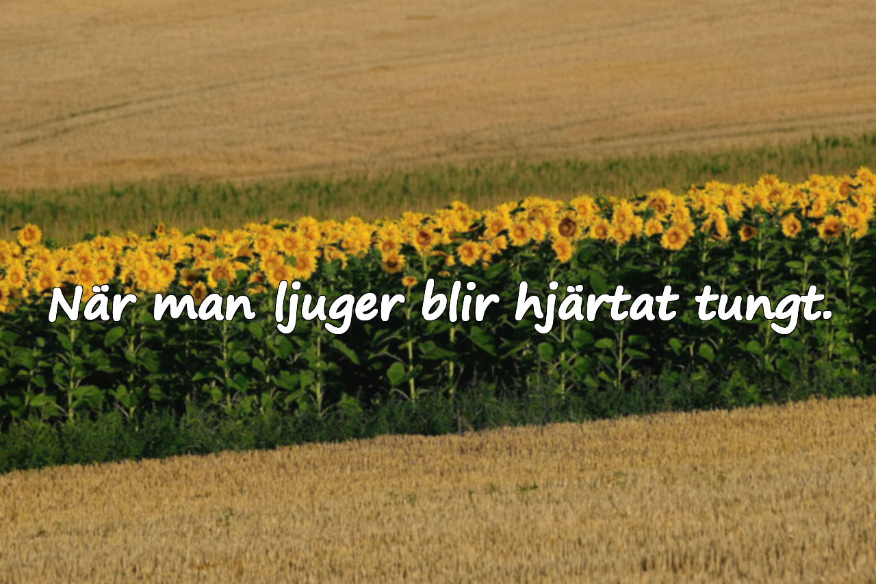 Citat om lögner