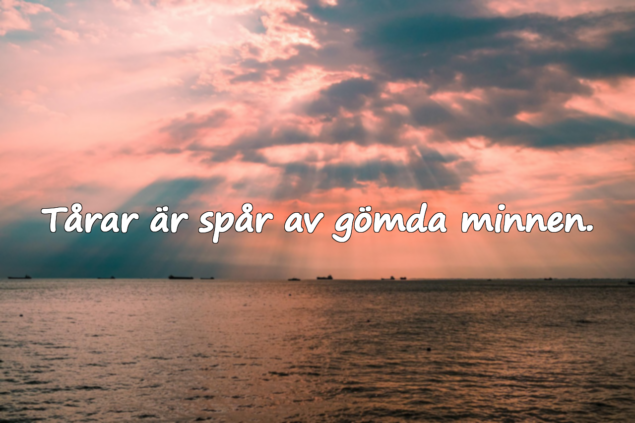 Citat om minnen