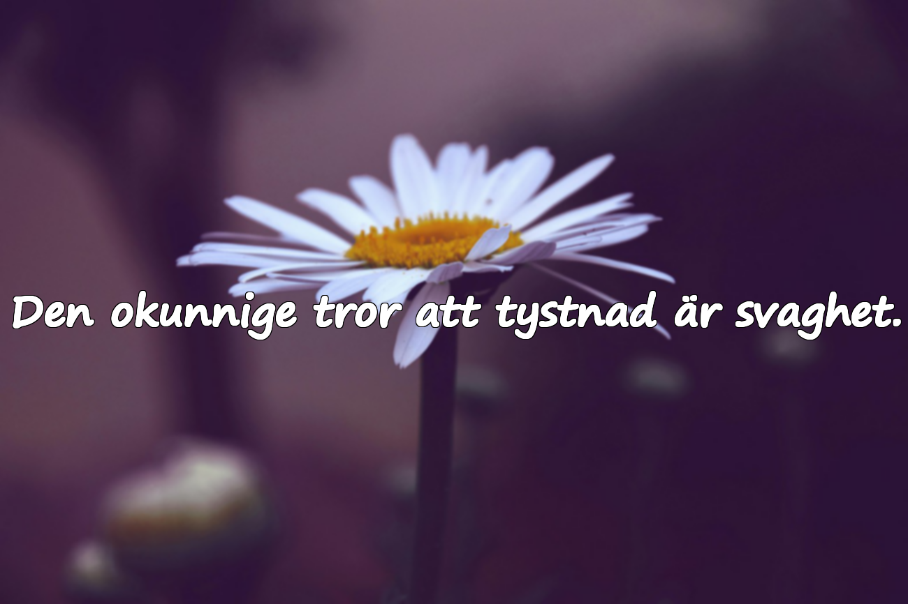 Citat om okunnighet