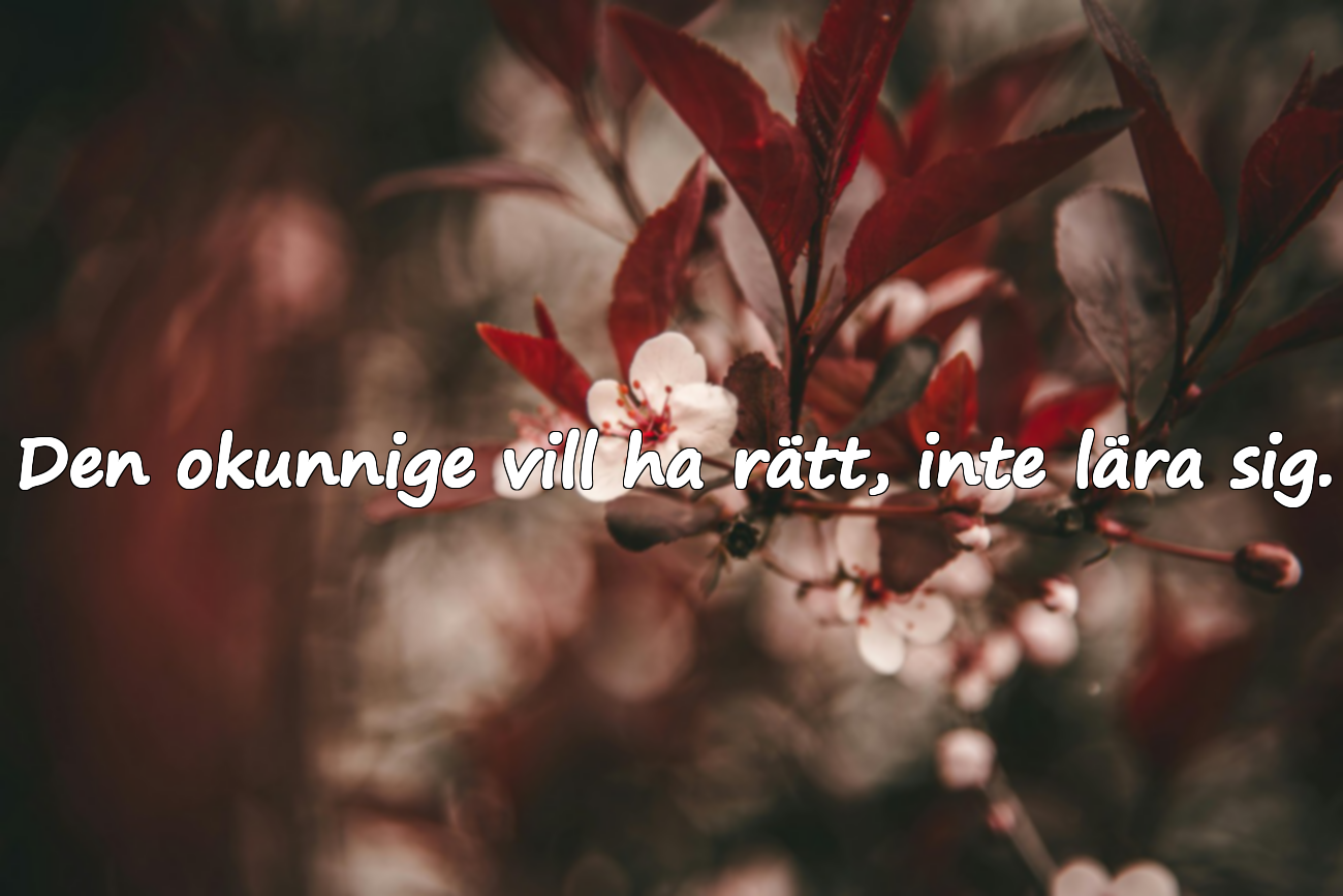 Citat om okunnighet