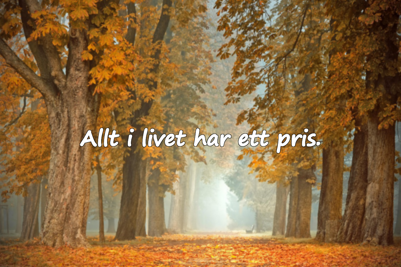 Citat om priset man måste betala