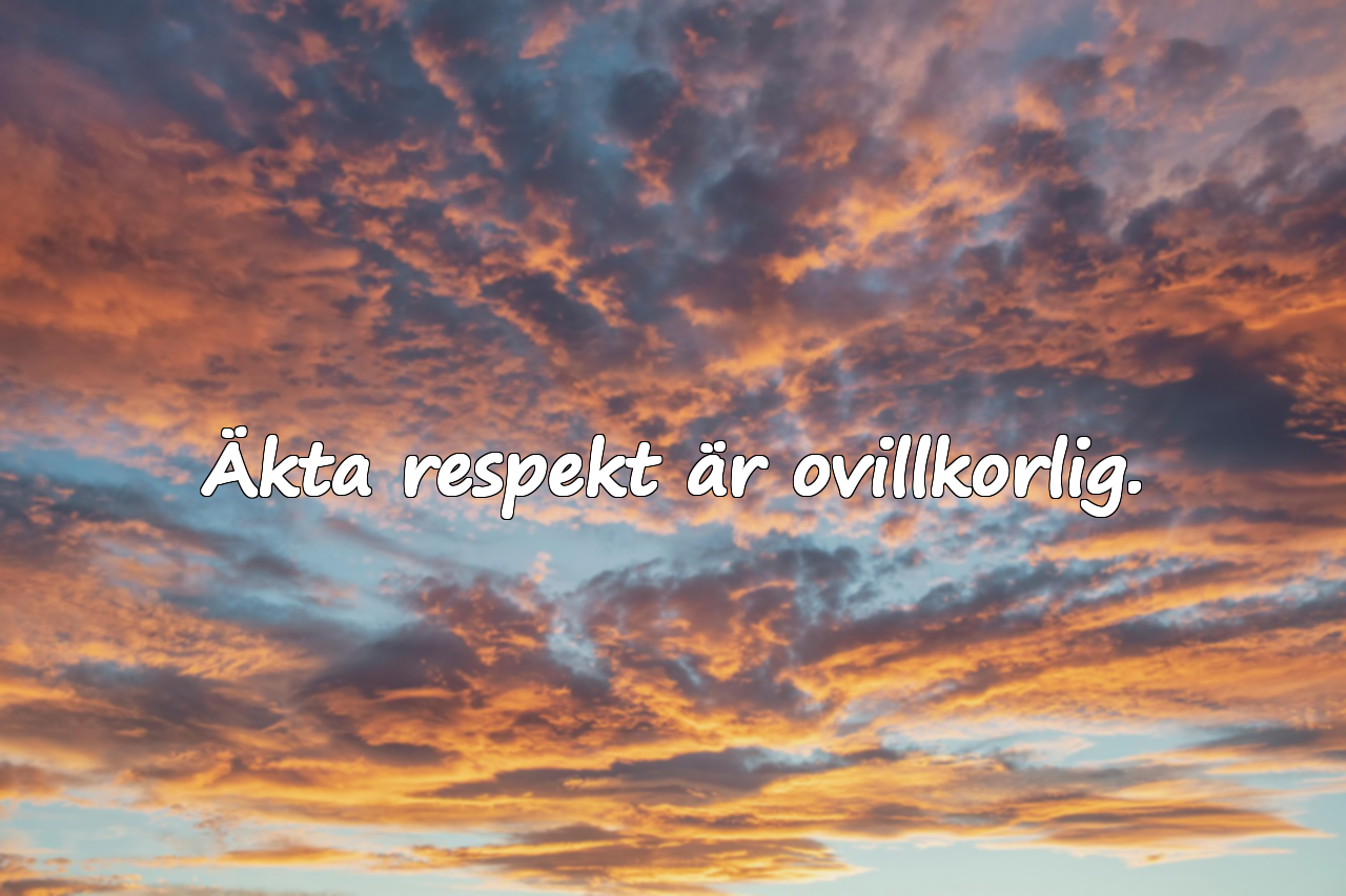 Citat om respekt