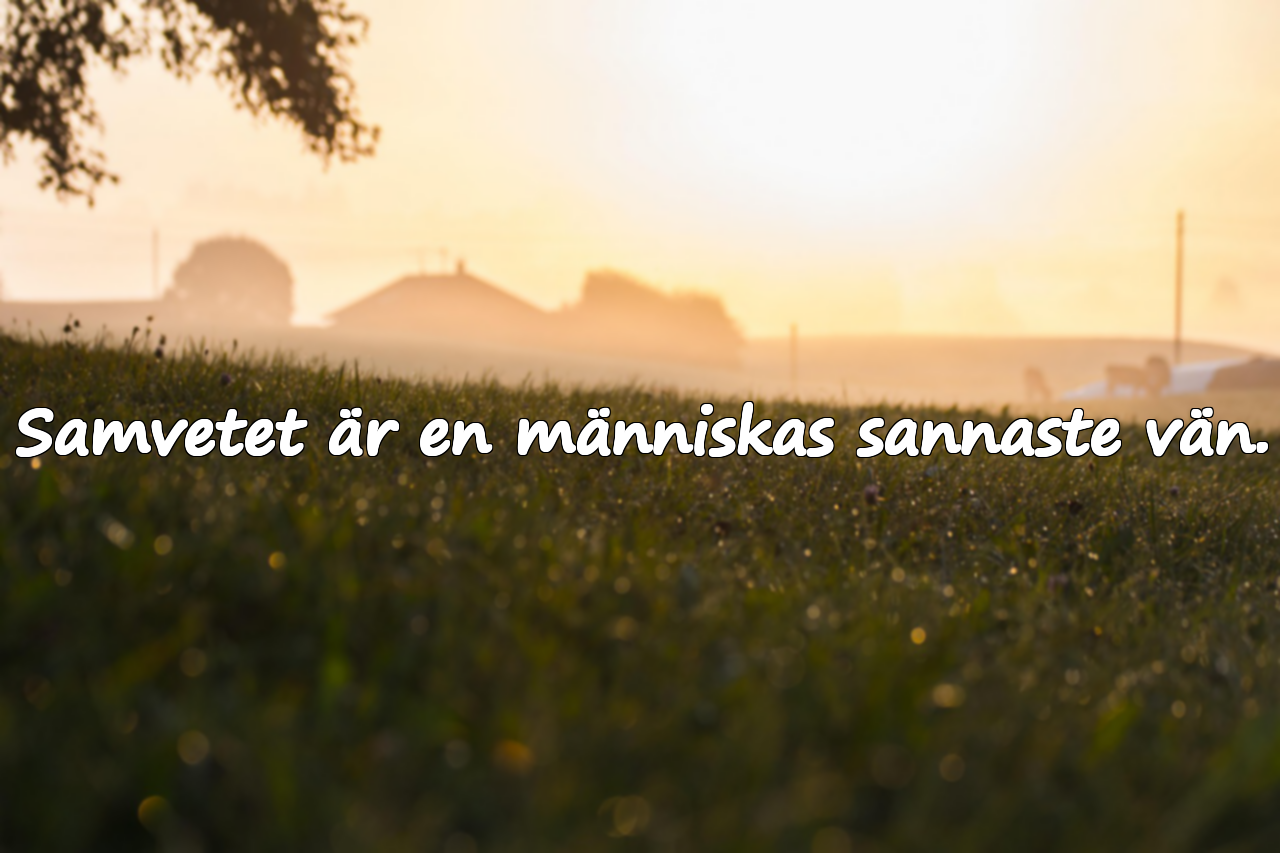 Citat om samvete
