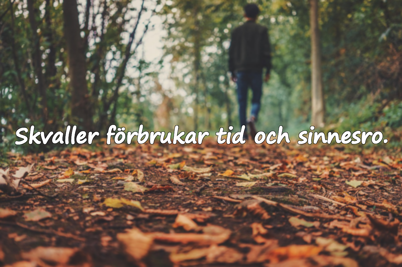 Citat om skvaller