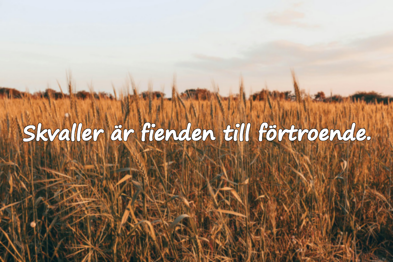 Citat om skvaller