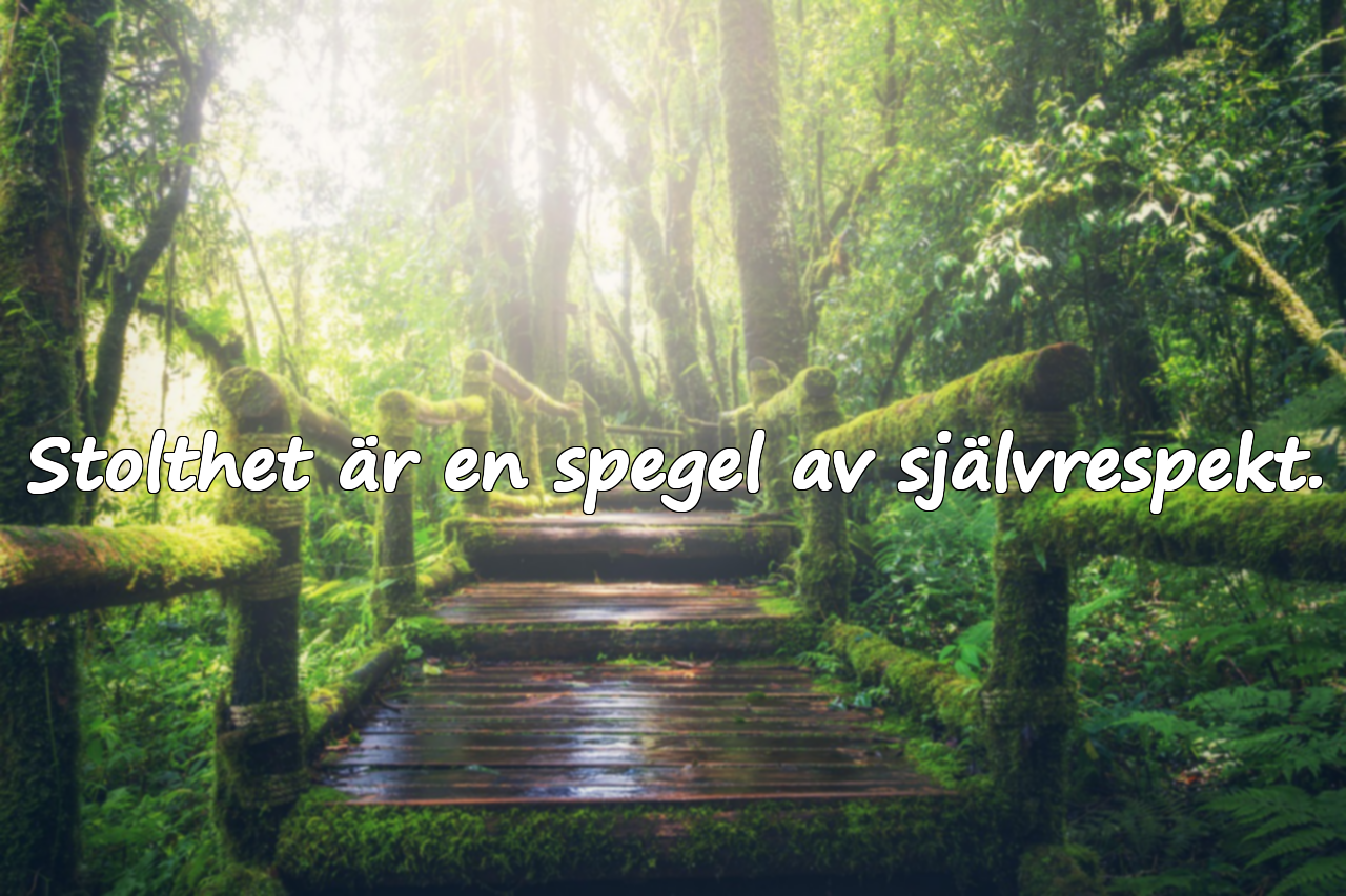 Citat om stolthet
