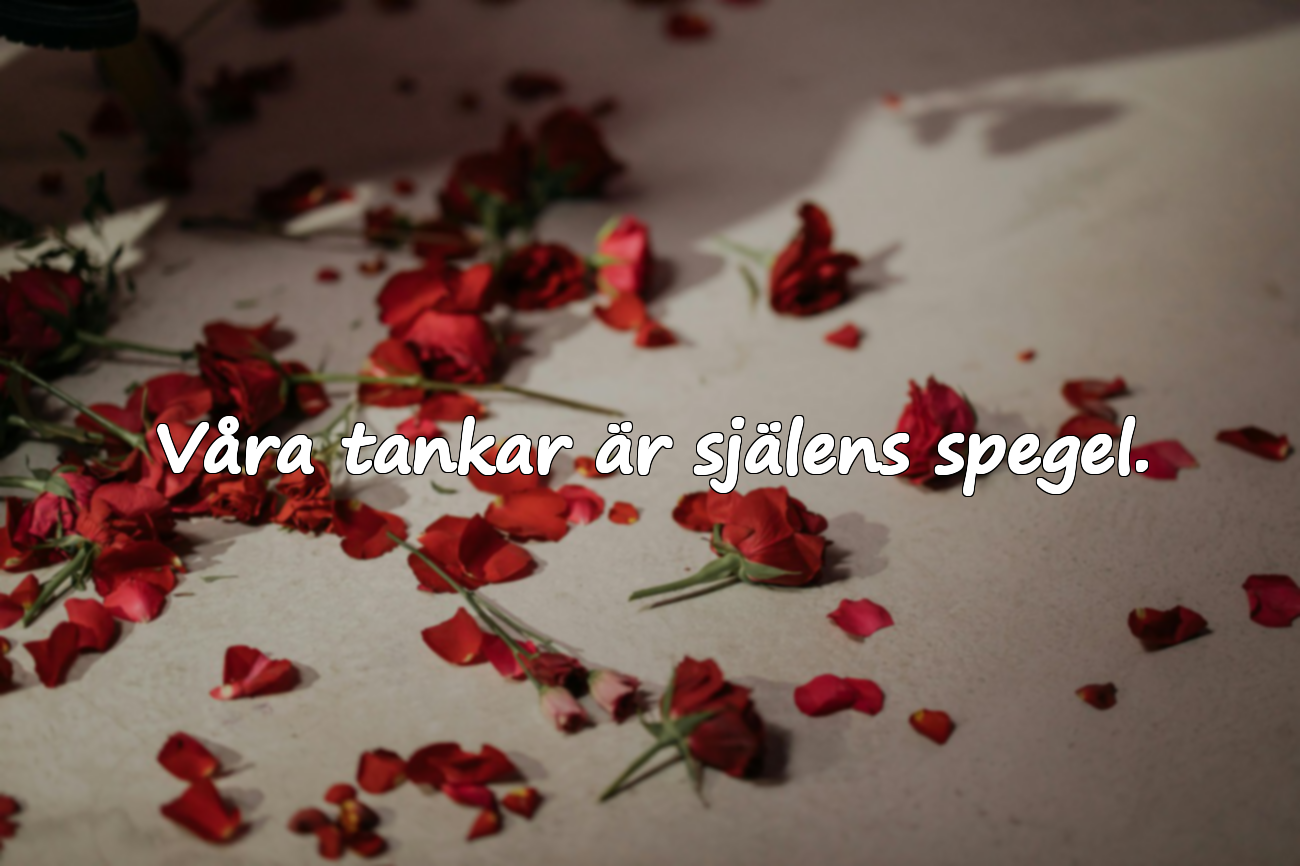 Citat om tänkande