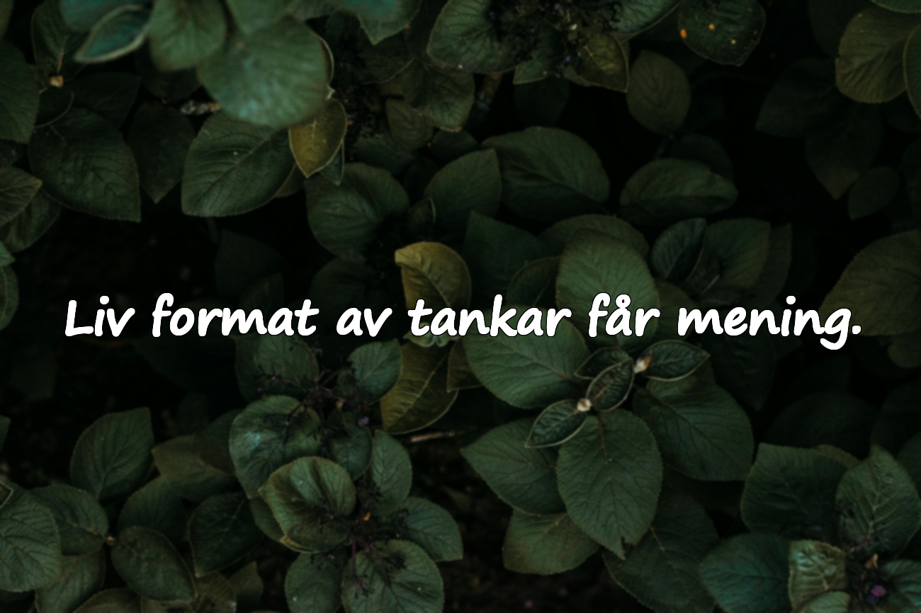 Citat om tänkande