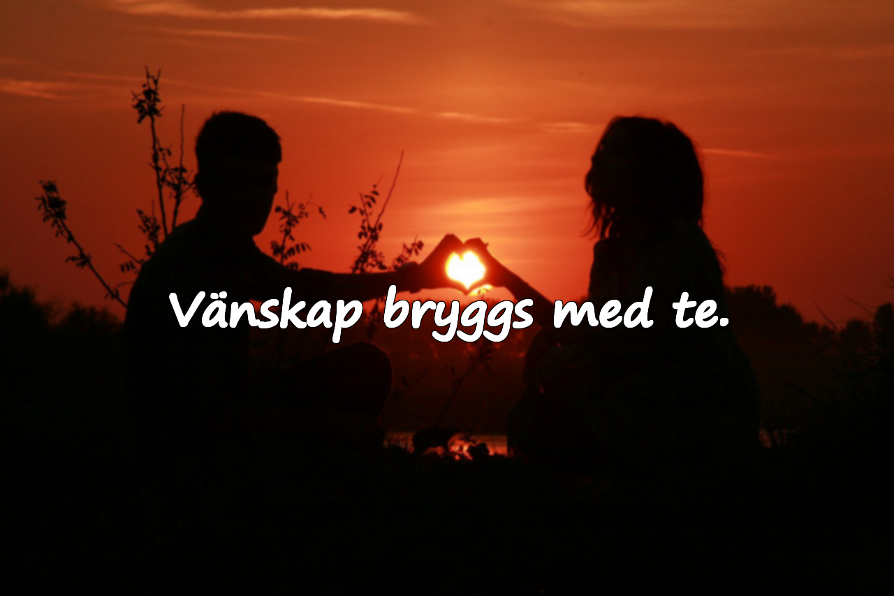 Vänskap bryggs med te.