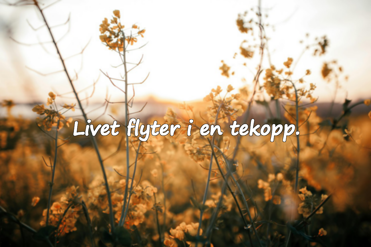 Citat om te