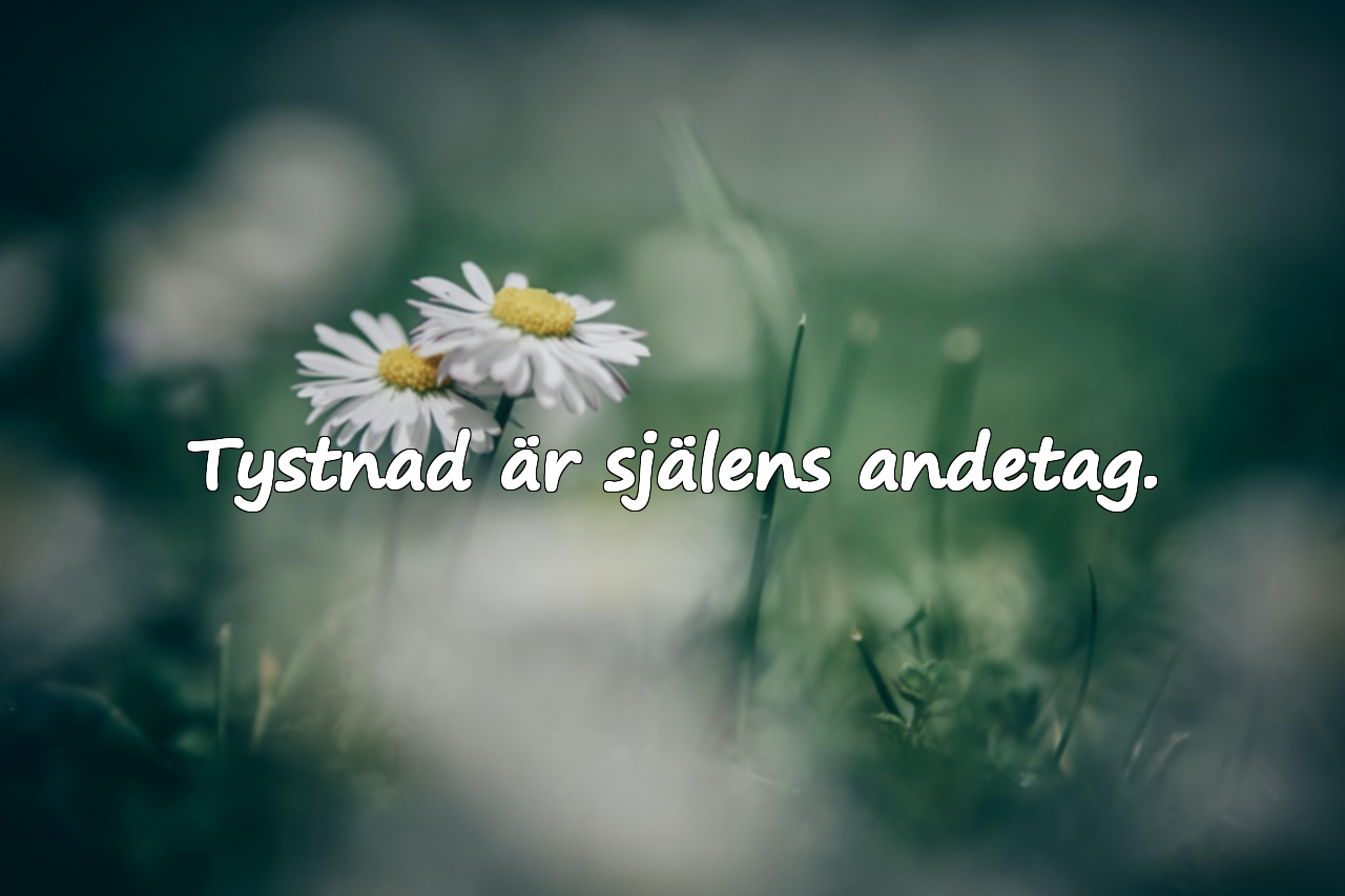Citat om tystnad