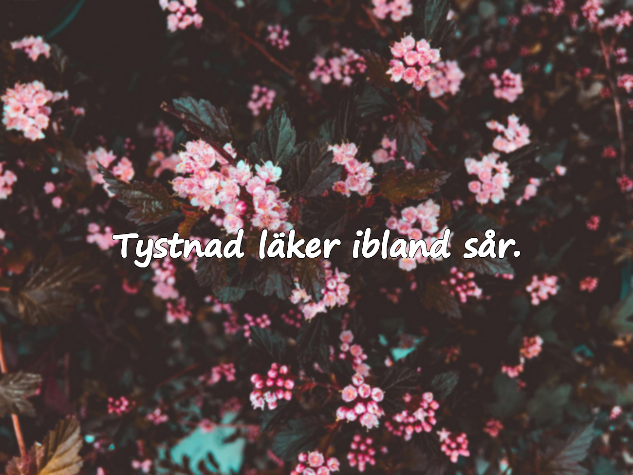 Citat om tystnad