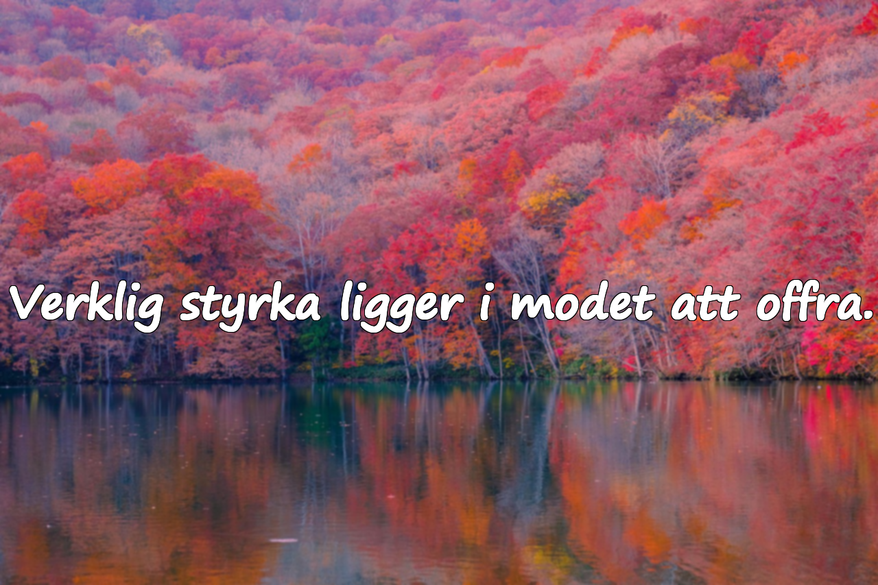 Citat om uppoffring