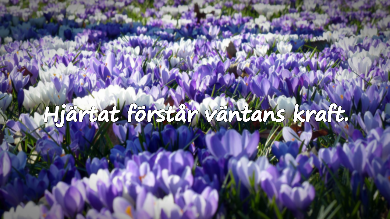 Citat om väntan