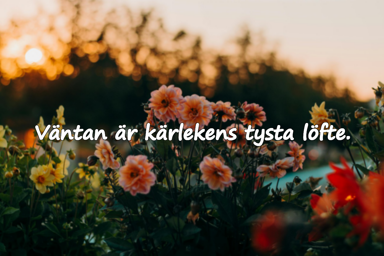 Citat om väntan