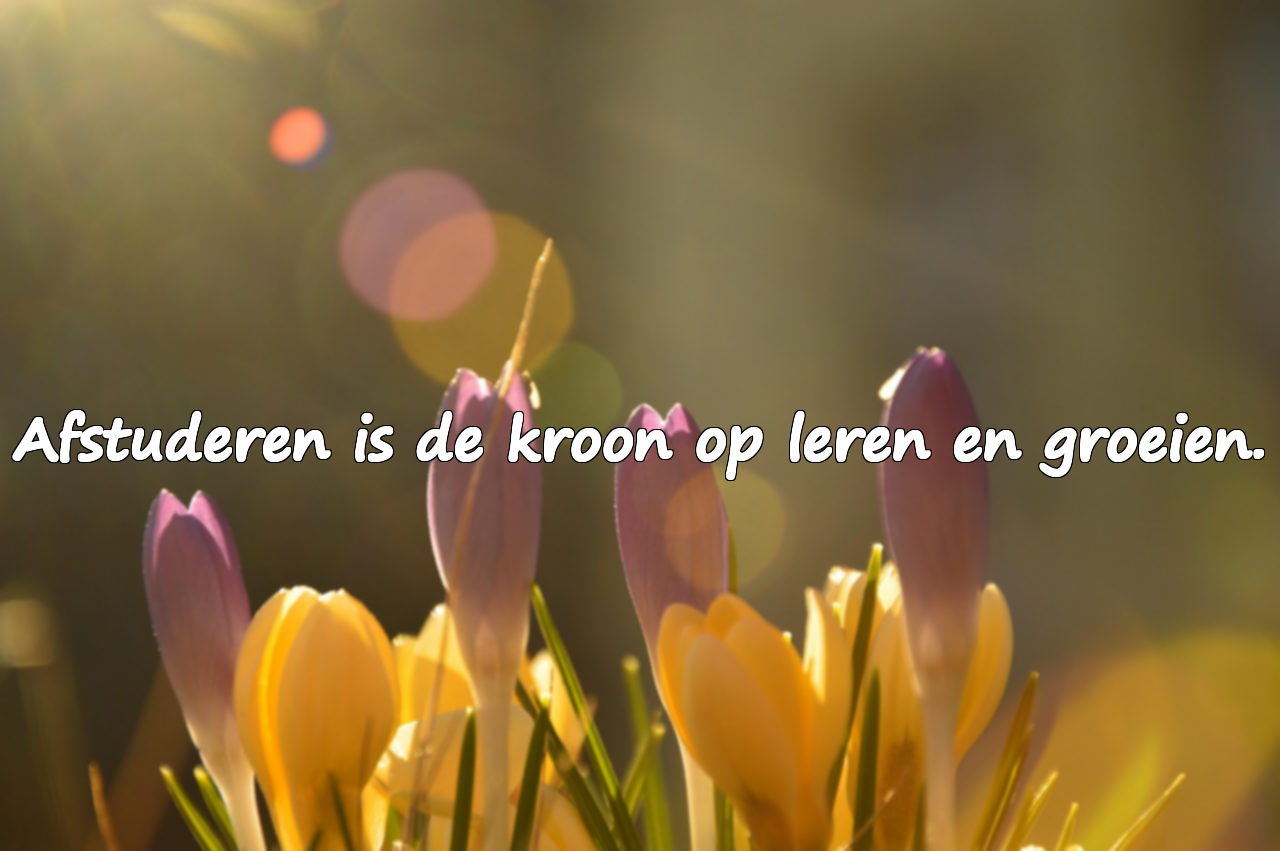 Citaten Over Afstuderen