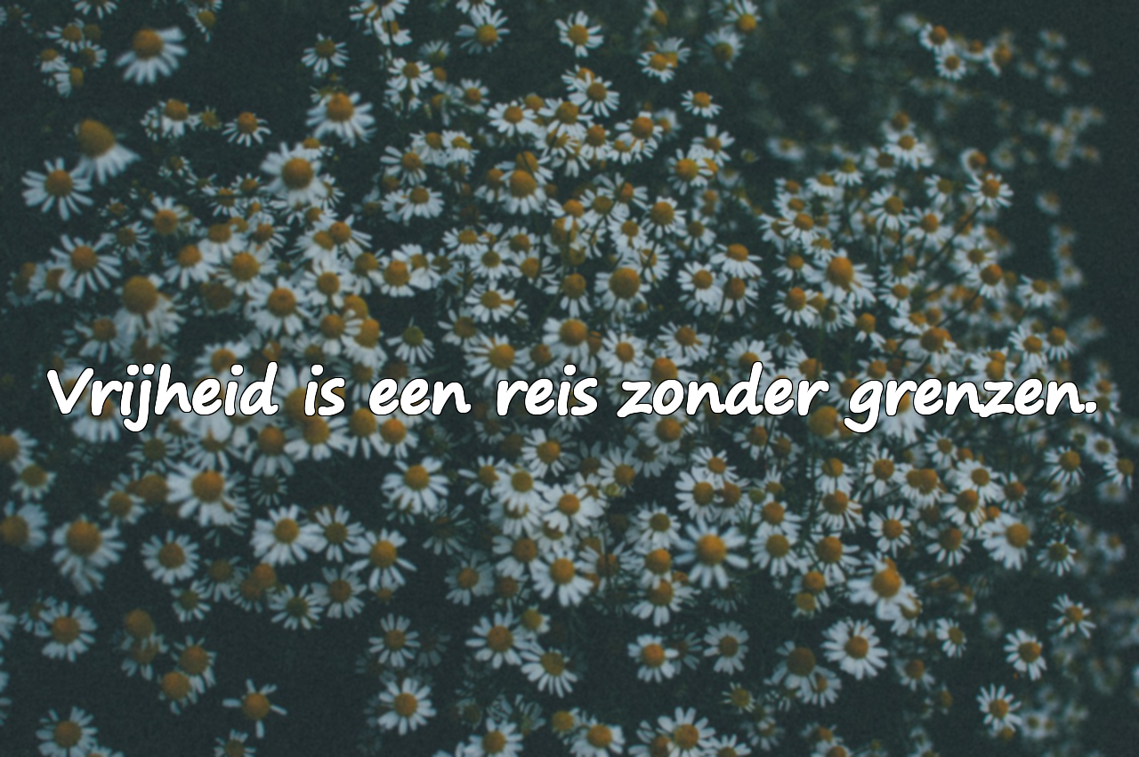 Citaten Over Vrijheid