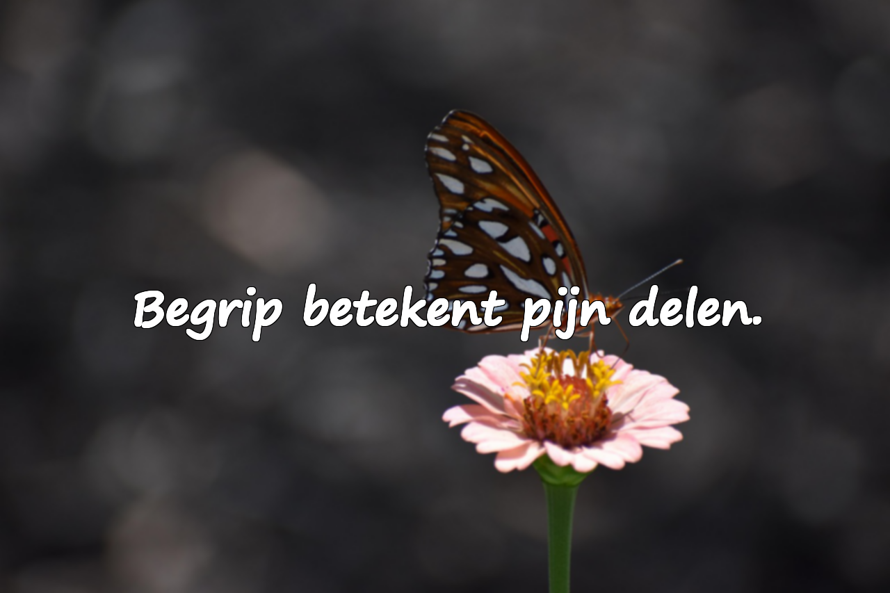 Citaten over Begrip