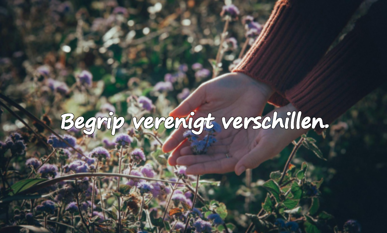 Citaten over Begrip
