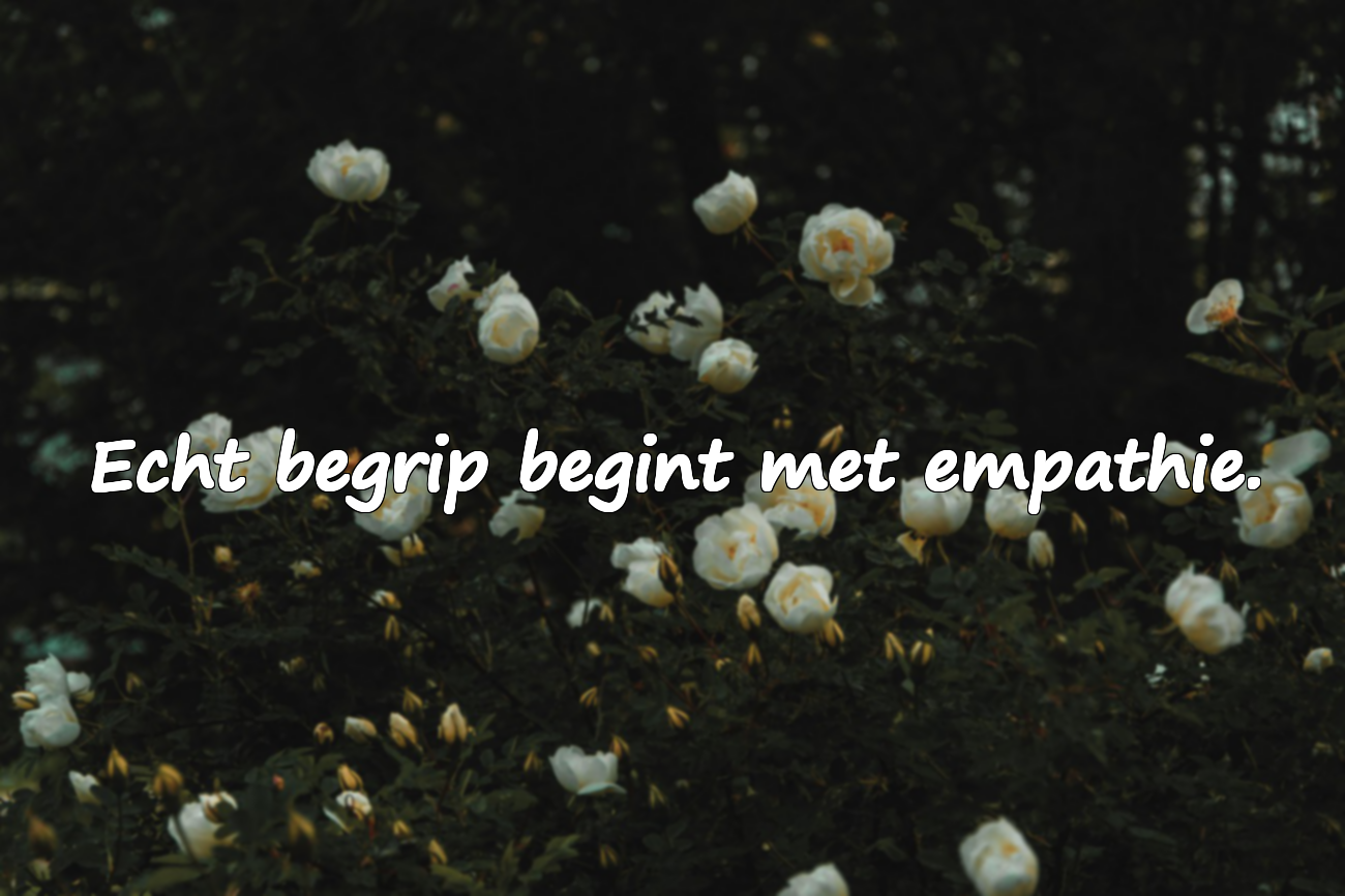 Citaten over Begrip