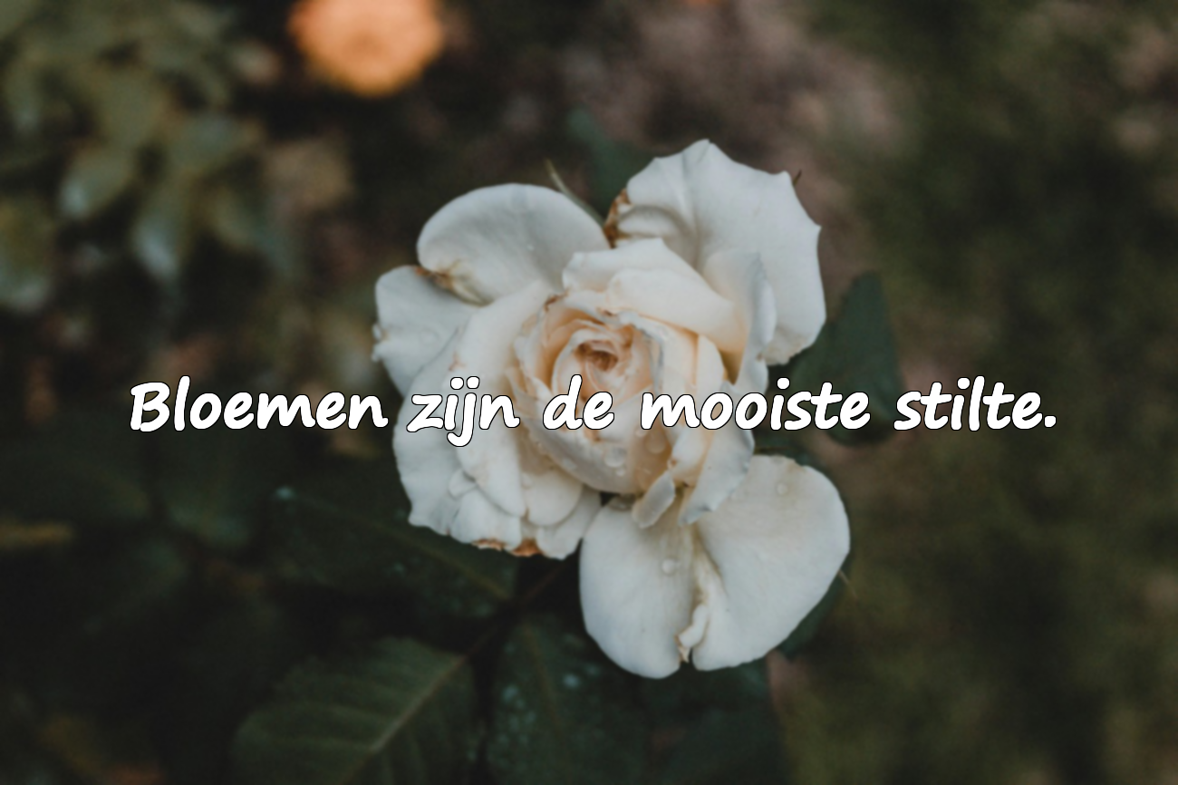 Citaten over Bloemen