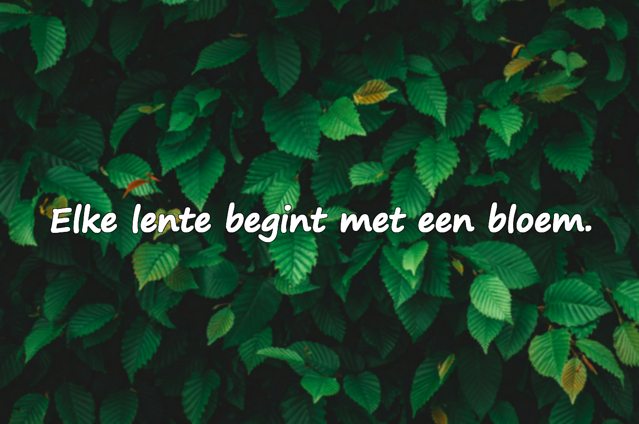Citaten over Bloemen