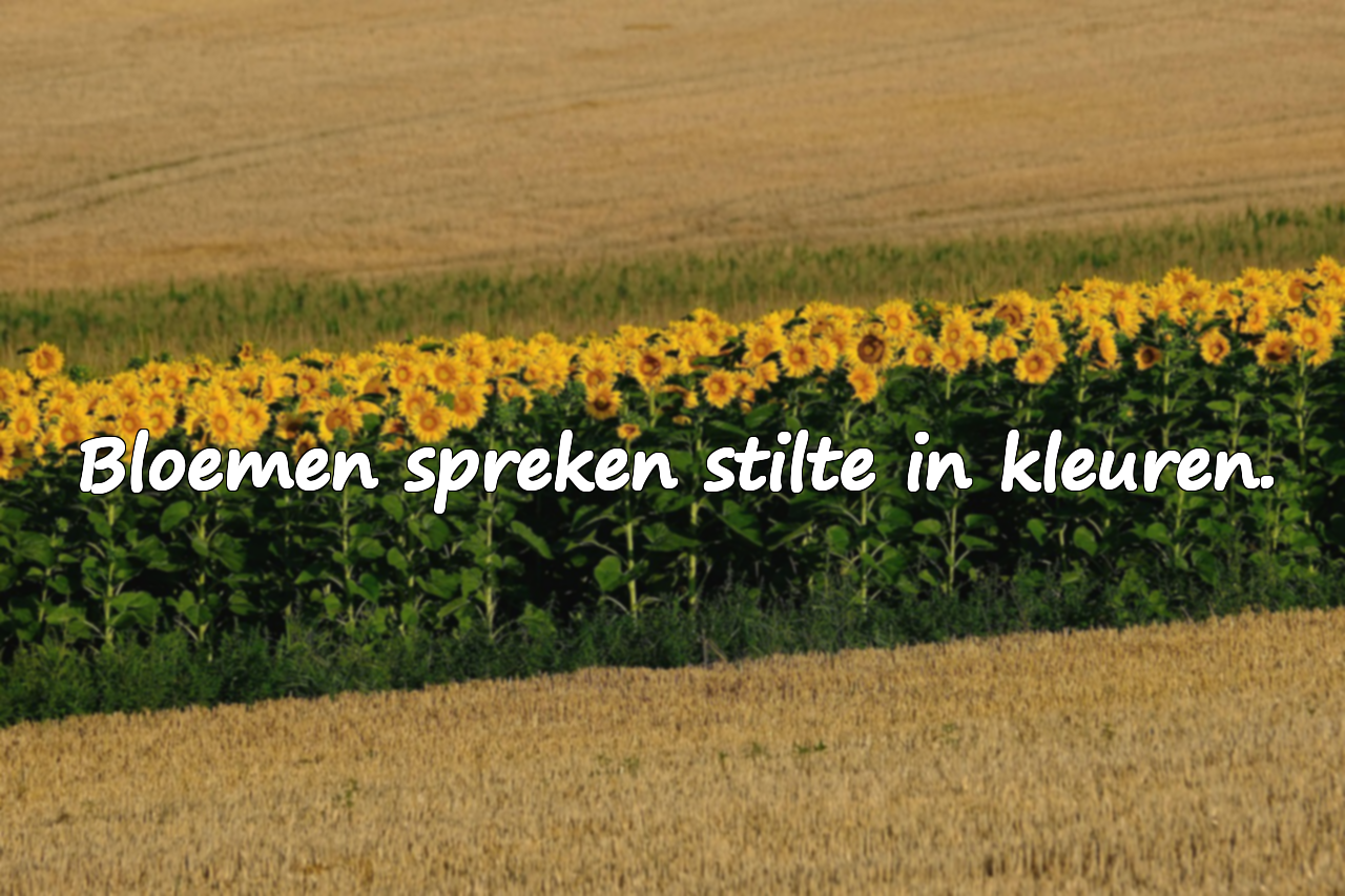 Citaten over Bloemen