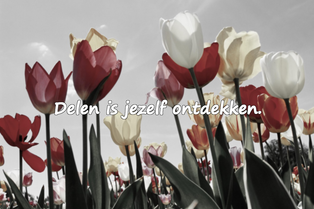 Citaten over Delen en Helpen