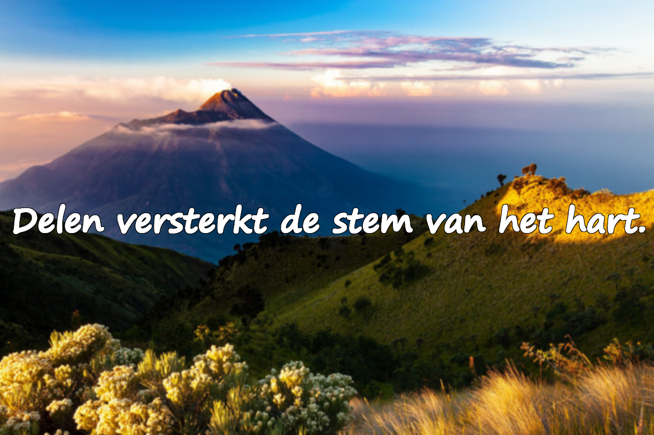 Citaten over Delen en Helpen