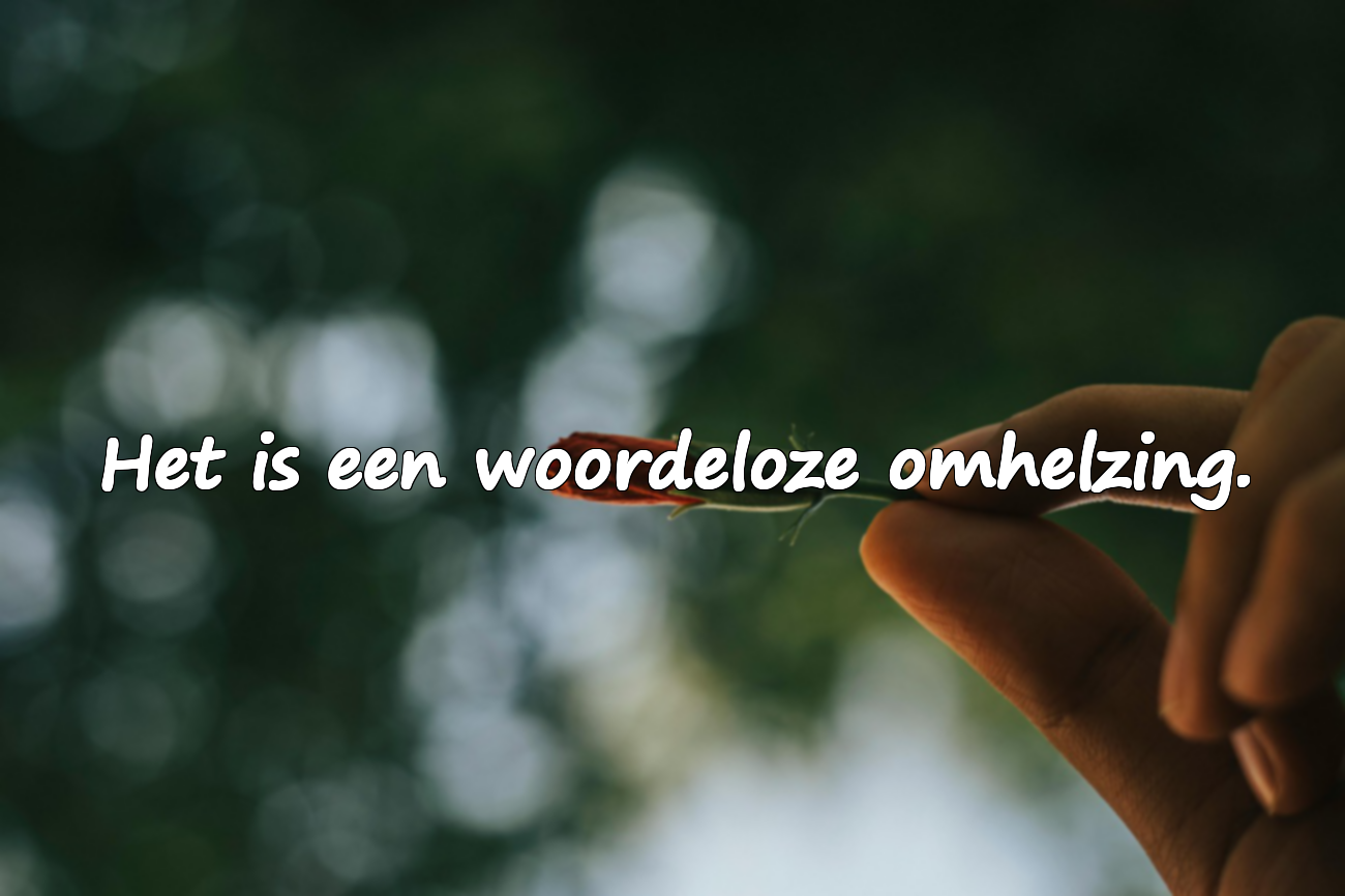 Citaten over Empathie