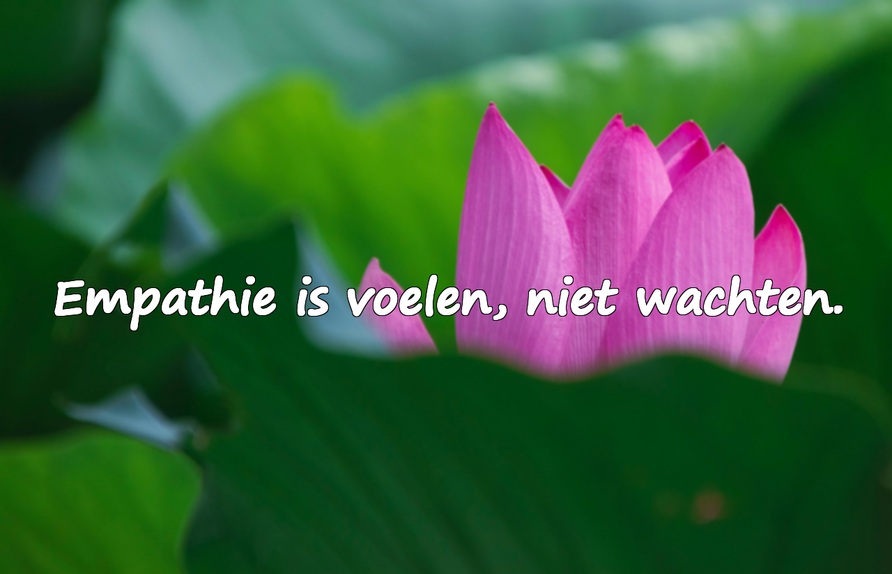 Citaten over Empathie