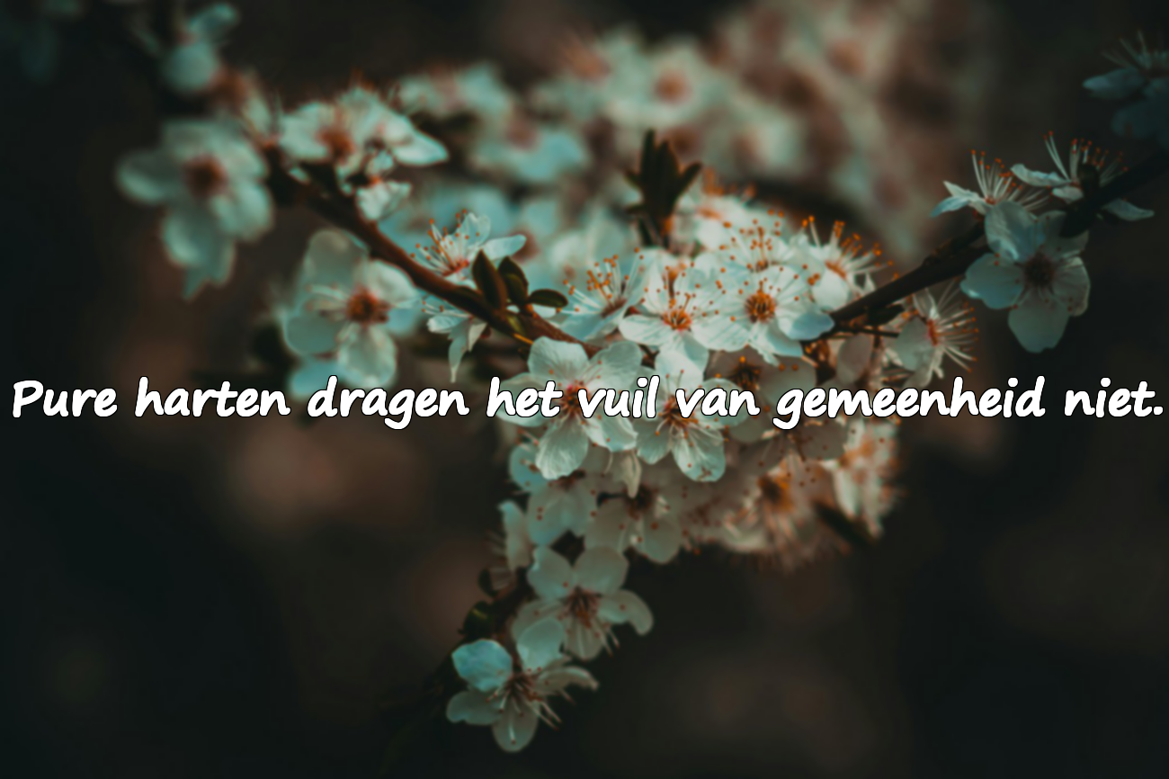 Citaten over Gemeenheid