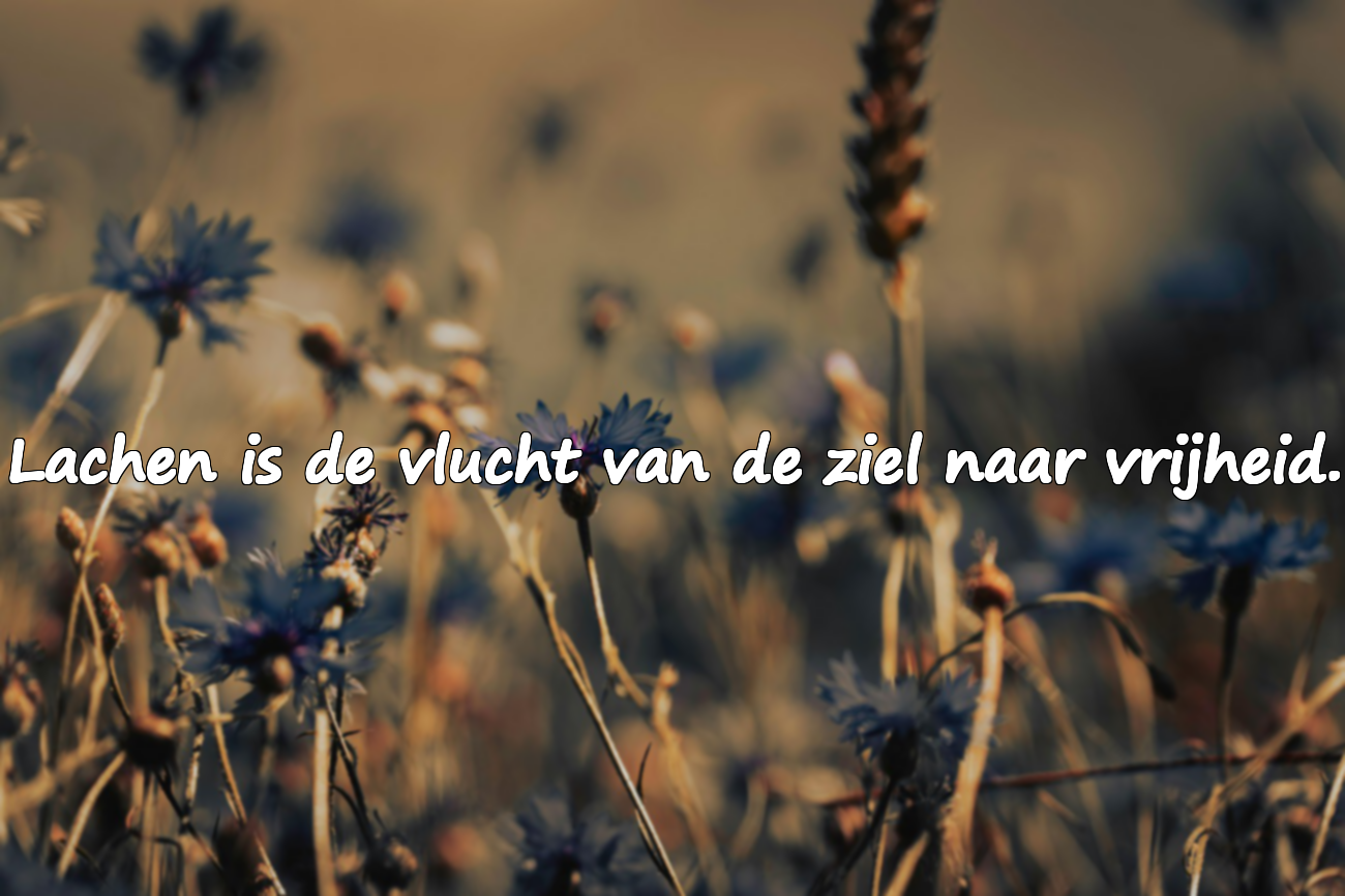 Citaten over Glimlachen, Lachen en Glimlachen